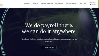 Blue Marble Global Payroll screenshot