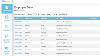 Blue Marble Global Payroll screenshot