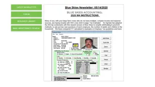 Blue Skies Accounting screenshot