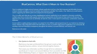 BlueCamroo screenshot