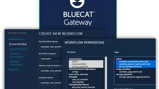 BlueCat DNS Integrity screenshot