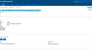 BlueCat DNS Integrity screenshot