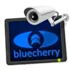 Bluecherry