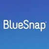 BlueSnap