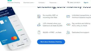 BlueVine screenshot