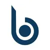 Bluink Key