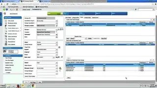 BMC Remedy screenshot