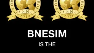 BNESIM screenshot