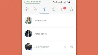 BNESIM screenshot