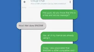 BNESIM screenshot