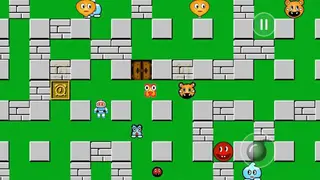 BOMBER BLAST: Bomberman Game screenshot