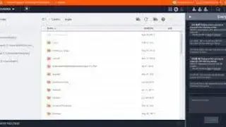 Bomgar Remote Support screenshot