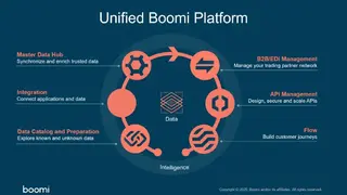 Boomi Master Data Hub screenshot