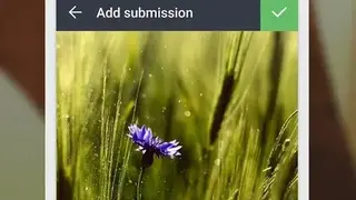 BoredPanda screenshot