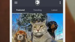 BoredPanda screenshot
