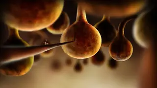 Botanicula screenshot