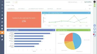 Bpm’online marketing screenshot