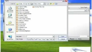 BrainIgniter Player screenshot