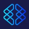 Brainio