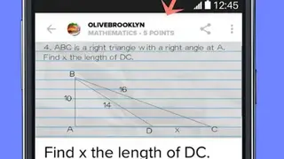 Brainly screenshot