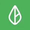 Branch: Banking & Instant Pay