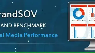 BrandSOV screenshot