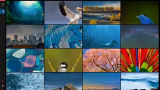 Brilli Wallpaper Changer screenshot