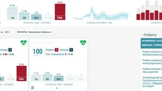 Broadcom DX APM screenshot