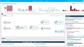 Broadcom DX APM screenshot