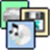 Broken X Disk Manager