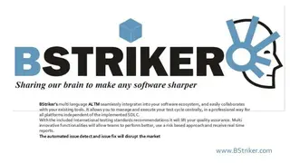 Bstriker screenshot