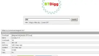 BTDigg screenshot