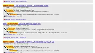 BTDigg screenshot