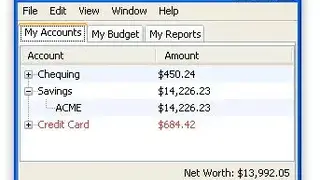 Buddi screenshot