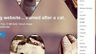 Buddy Image screenshot