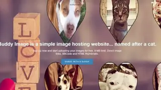 Buddy Image screenshot