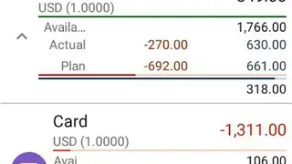 Budget Blitz Pro screenshot