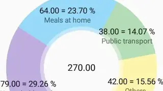 Budget Blitz Pro screenshot