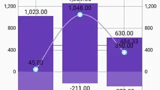 Budget Blitz Pro screenshot