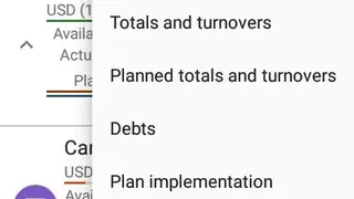 Budget Blitz Pro screenshot