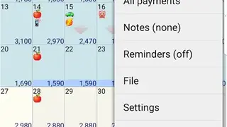 Budget Calendar screenshot