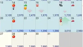Budget Calendar screenshot