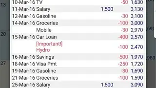 Budget Calendar screenshot