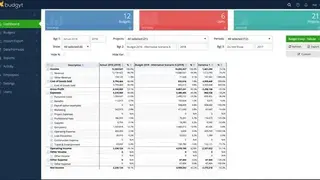 Budgyt screenshot