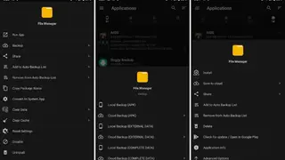 Buggy Backup Pro screenshot