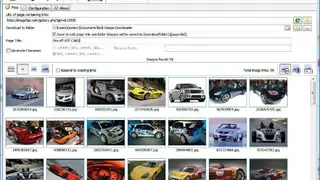 Bulk Image Downloader screenshot
