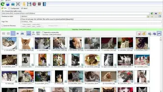 Bulk Image Downloader screenshot