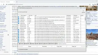 Bulk Media Downloader screenshot