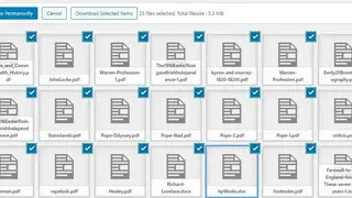 Bulk Media Downloader screenshot