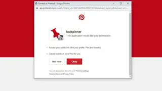 Bulk Pinner screenshot